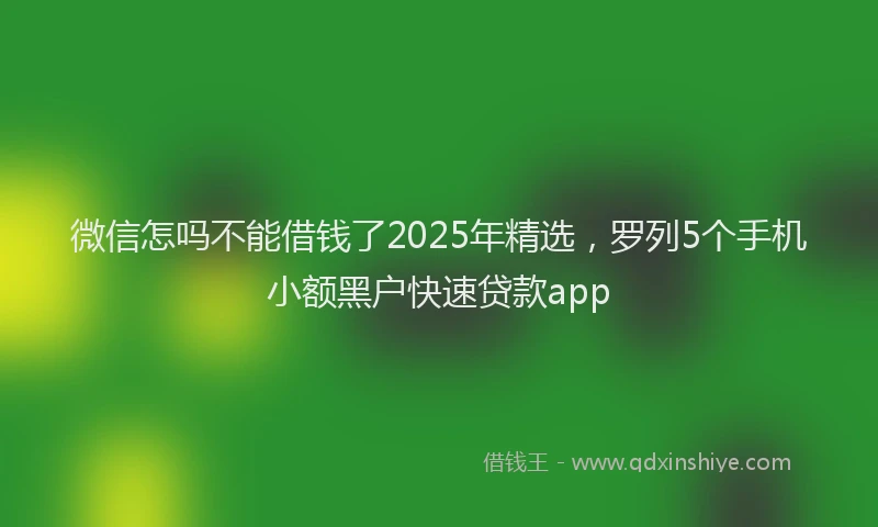 微信怎吗不能借钱了2025年精选，罗列5个手机小额黑户快速贷款app
