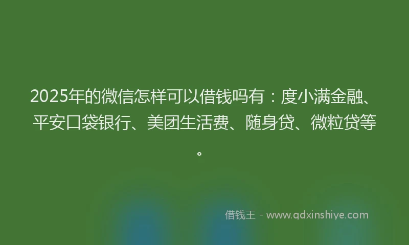 2025年的微信怎样可以借钱吗有：度小满金融、平安口袋银行、美团生活费、随身贷、微粒贷等。
