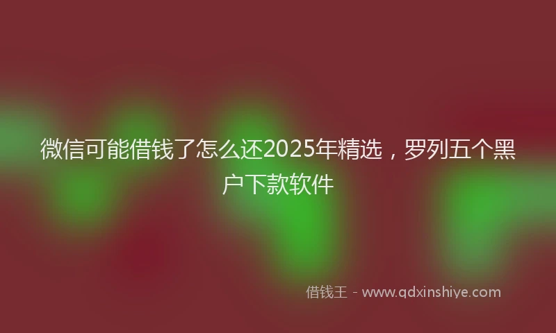 微信可能借钱了怎么还2025年精选，罗列五个黑户下款软件