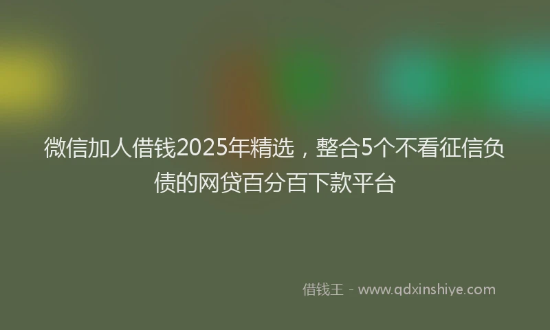 微信加人借钱2025年精选，整合5个不看征信负债的网贷百分百下款平台