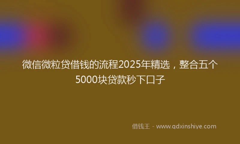 微信微粒贷借钱的流程2025年精选，整合五个5000块贷款秒下口子