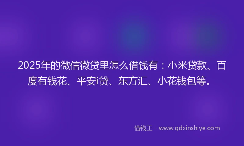 2025年的微信微贷里怎么借钱有：小米贷款、百度有钱花、平安i贷、东方汇、小花钱包等。