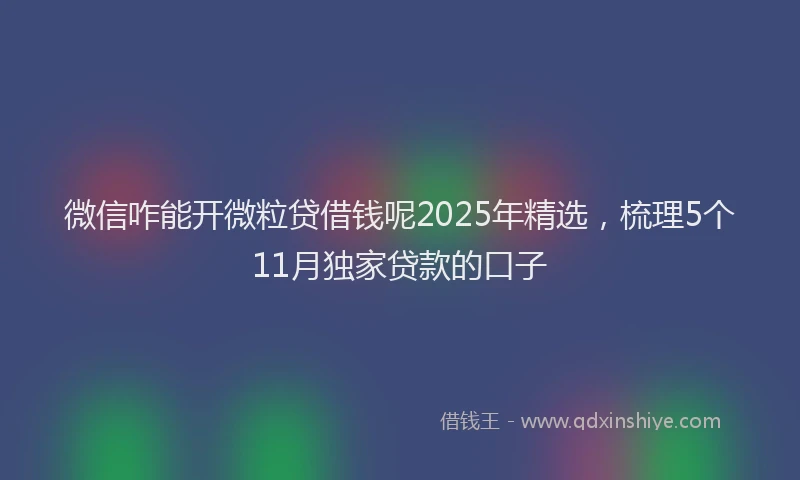 微信咋能开微粒贷借钱呢2025年精选，梳理5个11月独家贷款的口子