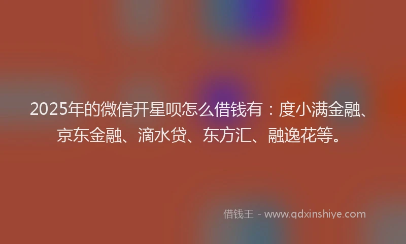 2025年的微信开星呗怎么借钱有：度小满金融、京东金融、滴水贷、东方汇、融逸花等。