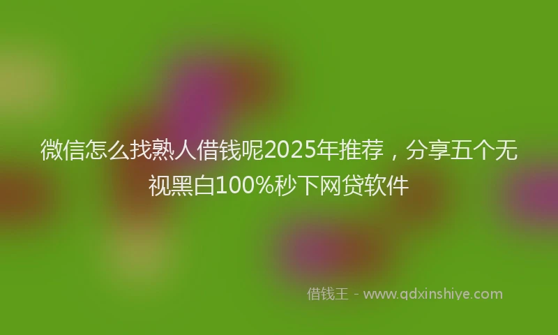 微信怎么找熟人借钱呢2025年推荐，分享五个无视黑白100%秒下网贷软件