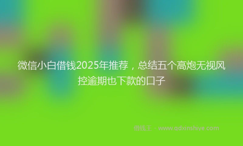 微信小白借钱2025年推荐，总结五个高炮无视风控逾期也下款的口子