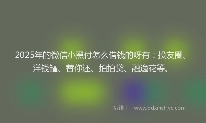 2025年的微信小黑付怎么借钱的呀有：投友圈、洋钱罐、替你还、拍拍贷、融逸花等。