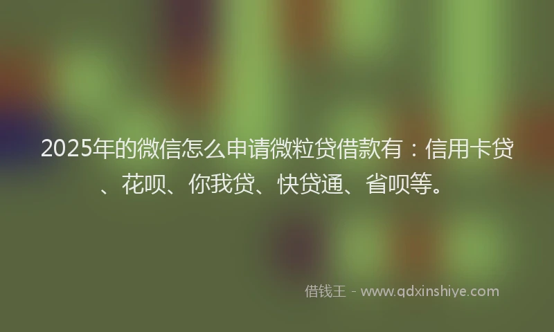 2025年的微信怎么申请微粒贷借款有：信用卡贷、花呗、你我贷、快贷通、省呗等。