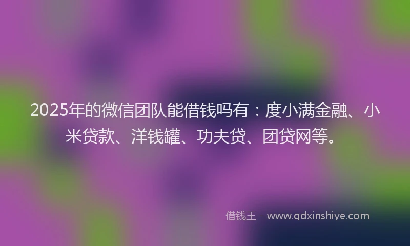 2025年的微信团队能借钱吗有：度小满金融、小米贷款、洋钱罐、功夫贷、团贷网等。