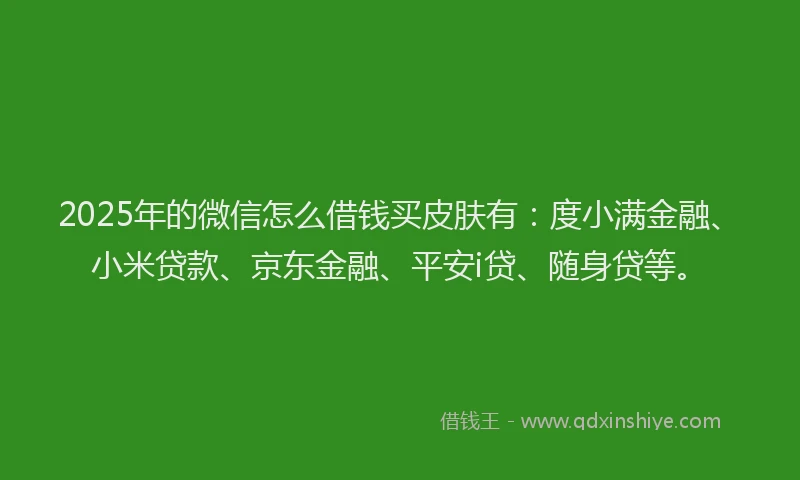 2025年的微信怎么借钱买皮肤有：度小满金融、小米贷款、京东金融、平安i贷、随身贷等。