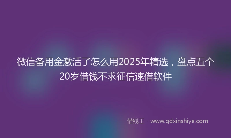 微信备用金激活了怎么用2025年精选，盘点五个20岁借钱不求征信速借软件
