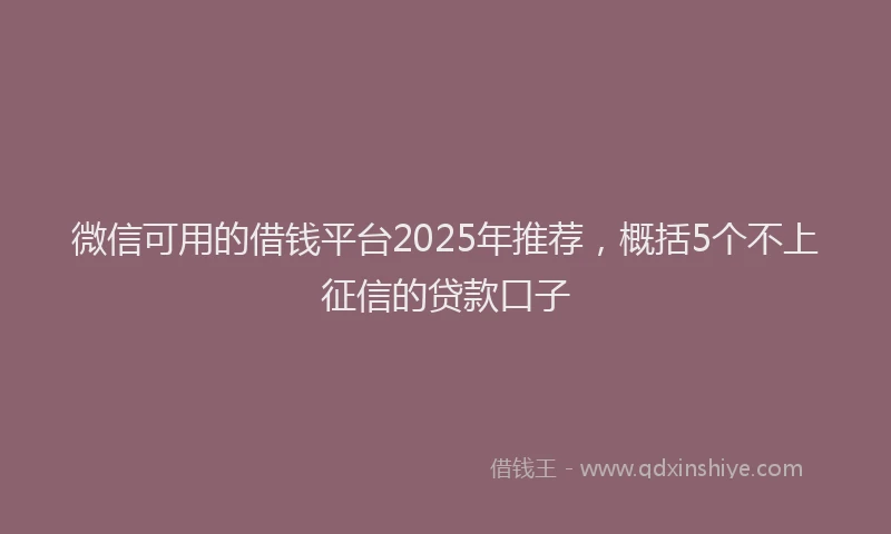 微信可用的借钱平台2025年推荐，概括5个不上征信的贷款口子