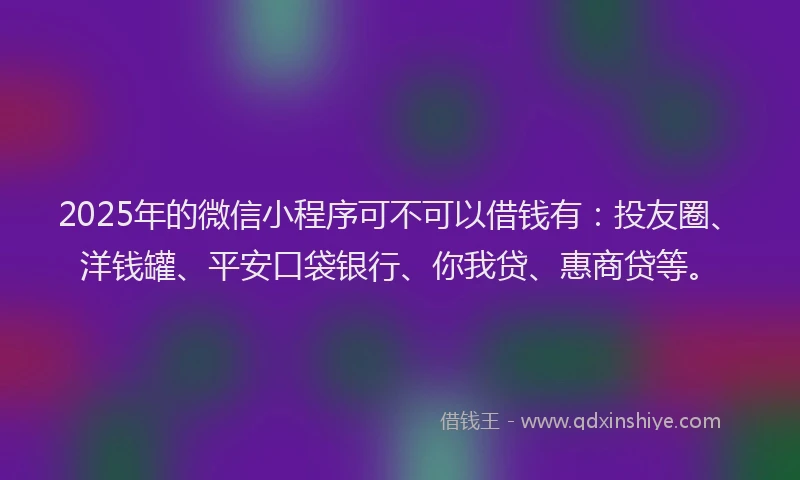 2025年的微信小程序可不可以借钱有：投友圈、洋钱罐、平安口袋银行、你我贷、惠商贷等。