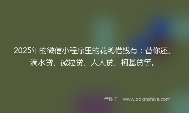 2025年的微信小程序里的花鸭借钱有：替你还、滴水贷、微粒贷、人人贷、柯基贷等。