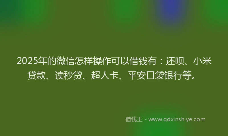 2025年的微信怎样操作可以借钱有：还呗、小米贷款、读秒贷、超人卡、平安口袋银行等。