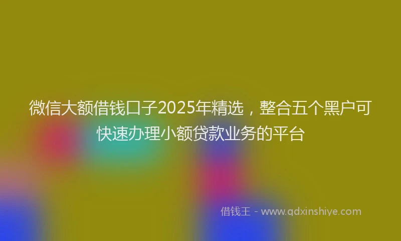 微信大额借钱口子2025年精选，整合五个黑户可快速办理小额贷款业务的平台