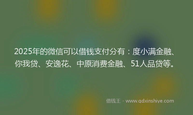 2025年的微信可以借钱支付分有：度小满金融、你我贷、安逸花、中原消费金融、51人品贷等。