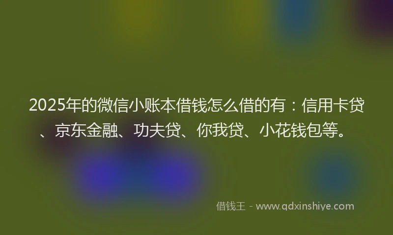 2025年的微信小账本借钱怎么借的有：信用卡贷、京东金融、功夫贷、你我贷、小花钱包等。