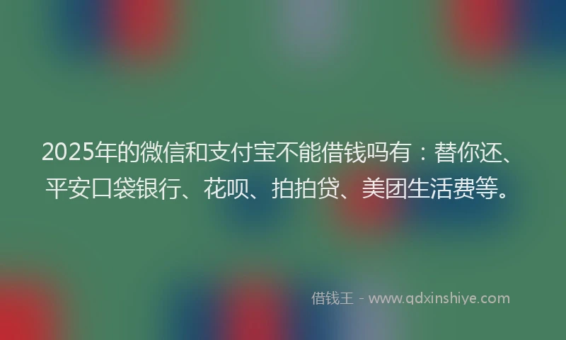 2025年的微信和支付宝不能借钱吗有：替你还、平安口袋银行、花呗、拍拍贷、美团生活费等。