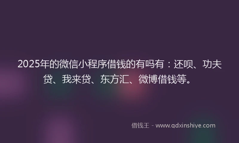 2025年的微信小程序借钱的有吗有：还呗、功夫贷、我来贷、东方汇、微博借钱等。