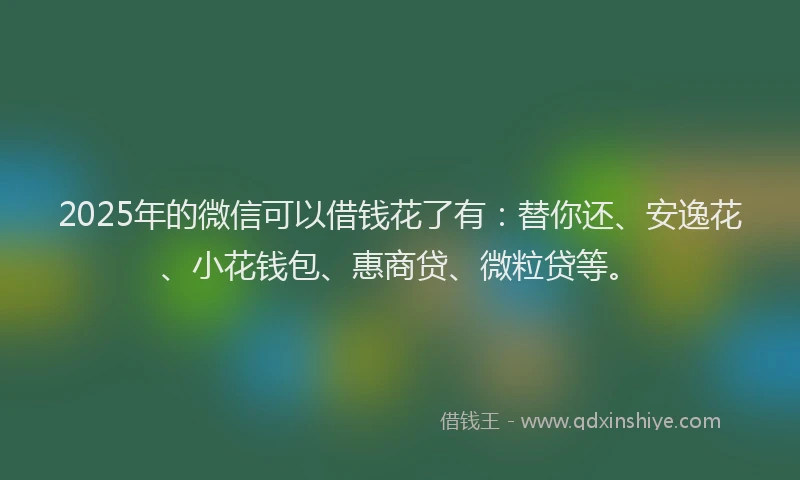 2025年的微信可以借钱花了有：替你还、安逸花、小花钱包、惠商贷、微粒贷等。