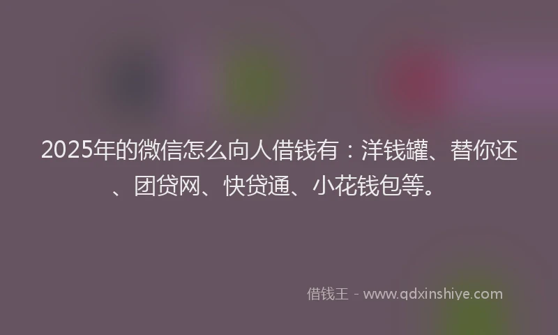 2025年的微信怎么向人借钱有：洋钱罐、替你还、团贷网、快贷通、小花钱包等。
