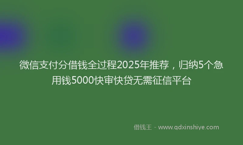微信支付分借钱全过程2025年推荐，归纳5个急用钱5000快审快贷无需征信平台