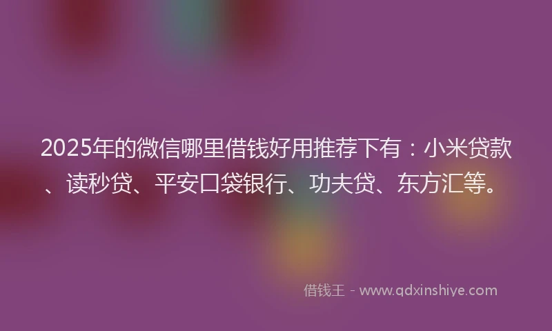 2025年的微信哪里借钱好用推荐下有：小米贷款、读秒贷、平安口袋银行、功夫贷、东方汇等。
