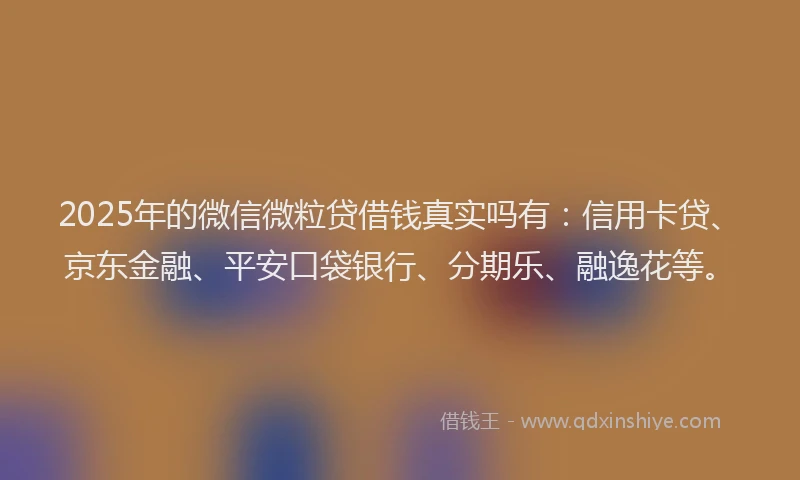 2025年的微信微粒贷借钱真实吗有：信用卡贷、京东金融、平安口袋银行、分期乐、融逸花等。