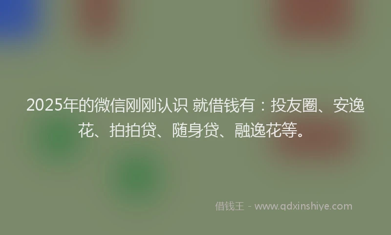 2025年的微信刚刚认识 就借钱有：投友圈、安逸花、拍拍贷、随身贷、融逸花等。