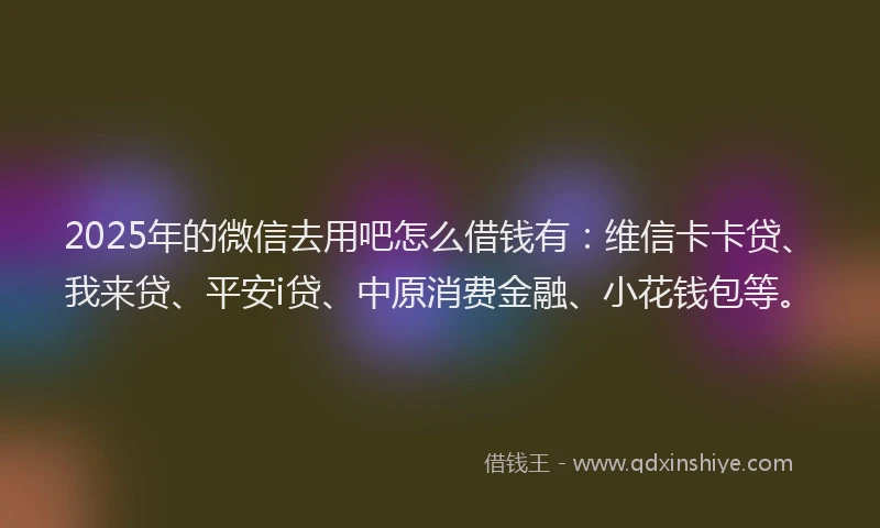 2025年的微信去用吧怎么借钱有：维信卡卡贷、我来贷、平安i贷、中原消费金融、小花钱包等。