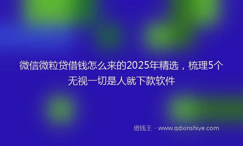 微信微粒贷借钱怎么来的2025年精选，梳理5个无视一切是人就下款软件