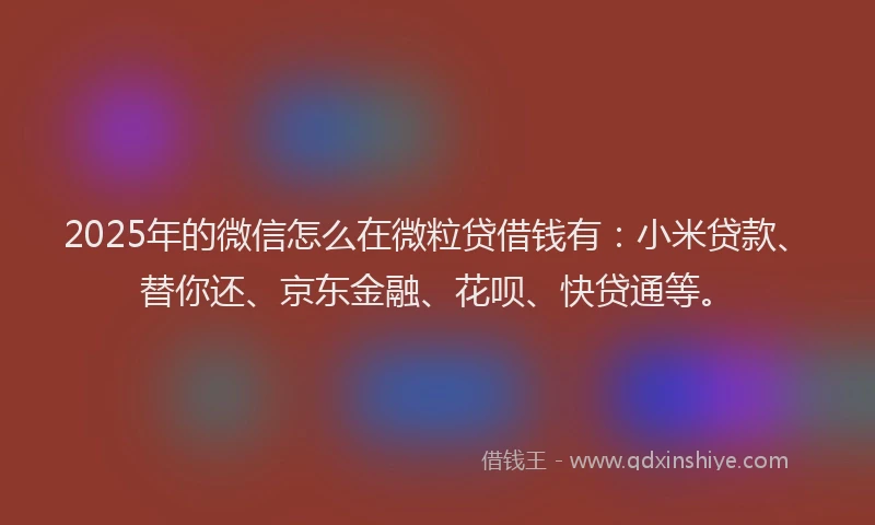 2025年的微信怎么在微粒贷借钱有：小米贷款、替你还、京东金融、花呗、快贷通等。