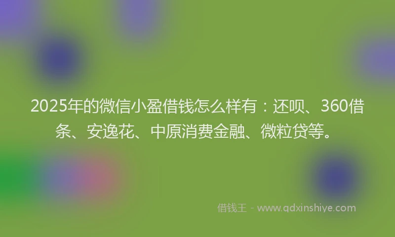 2025年的微信小盈借钱怎么样有：还呗、360借条、安逸花、中原消费金融、微粒贷等。