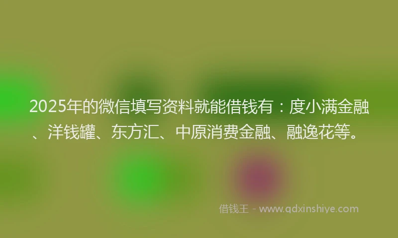 2025年的微信填写资料就能借钱有：度小满金融、洋钱罐、东方汇、中原消费金融、融逸花等。