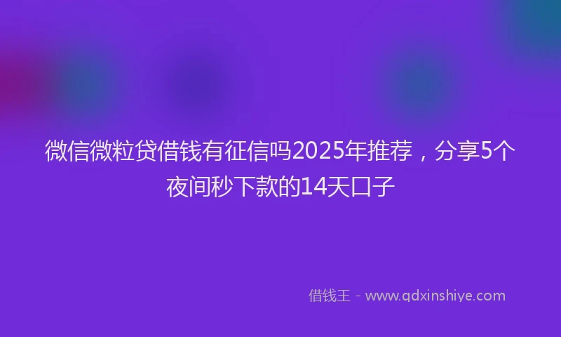 微信微粒贷借钱有征信吗2025年推荐，分享5个夜间秒下款的14天口子