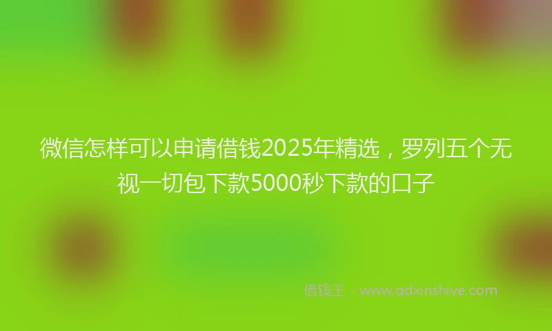 微信怎样可以申请借钱2025年精选，罗列五个无视一切包下款5000秒下款的口子