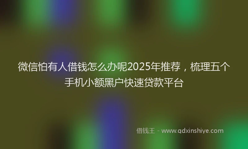 微信怕有人借钱怎么办呢2025年推荐，梳理五个手机小额黑户快速贷款平台
