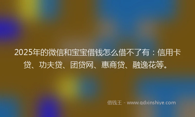 2025年的微信和宝宝借钱怎么借不了有：信用卡贷、功夫贷、团贷网、惠商贷、融逸花等。