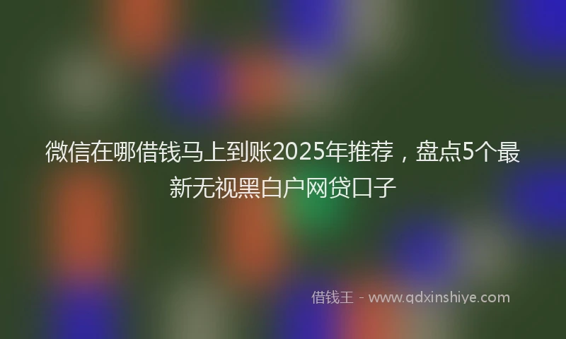 微信在哪借钱马上到账2025年推荐，盘点5个最新无视黑白户网贷口子