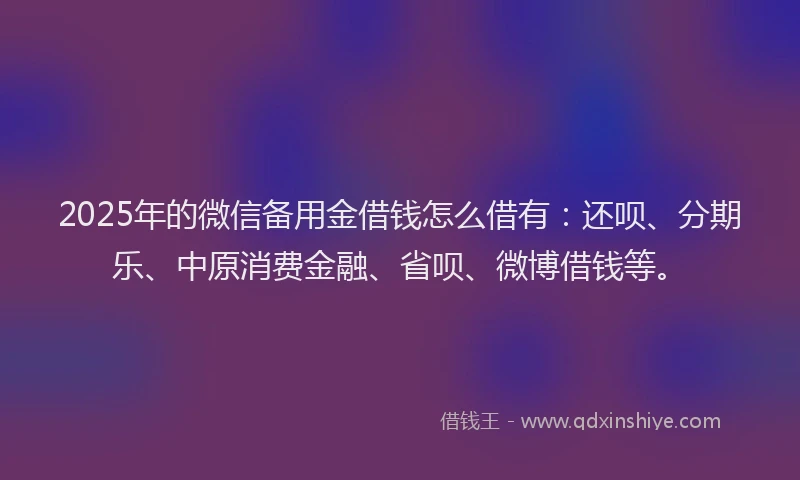 2025年的微信备用金借钱怎么借有：还呗、分期乐、中原消费金融、省呗、微博借钱等。