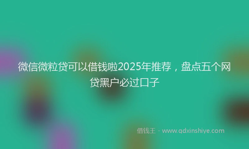 微信微粒贷可以借钱啦2025年推荐，盘点五个网贷黑户必过口子