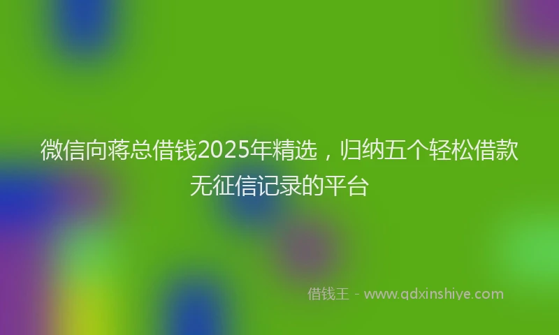 微信向蒋总借钱2025年精选，归纳五个轻松借款无征信记录的平台