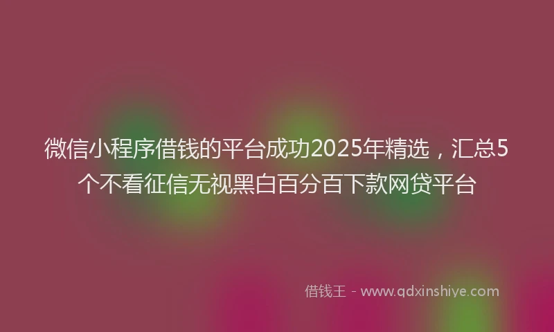 微信小程序借钱的平台成功2025年精选，汇总5个不看征信无视黑白百分百下款网贷平台