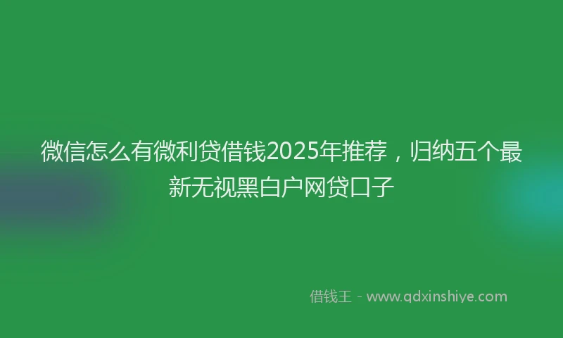 微信怎么有微利贷借钱2025年推荐，归纳五个最新无视黑白户网贷口子