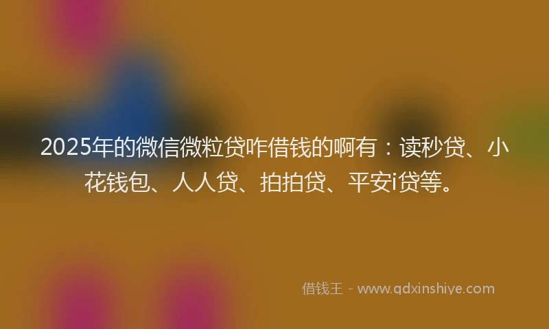 2025年的微信微粒贷咋借钱的啊有：读秒贷、小花钱包、人人贷、拍拍贷、平安i贷等。