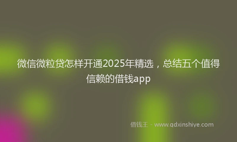 微信微粒贷怎样开通2025年精选，总结五个值得信赖的借钱app