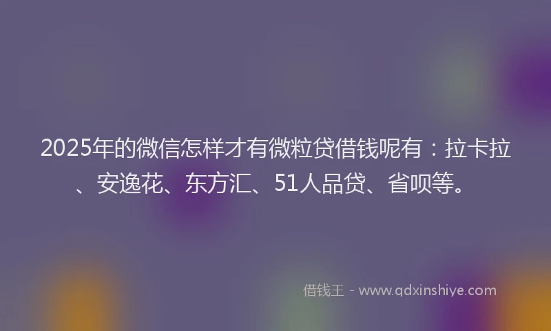 2025年的微信怎样才有微粒贷借钱呢有：拉卡拉、安逸花、东方汇、51人品贷、省呗等。
