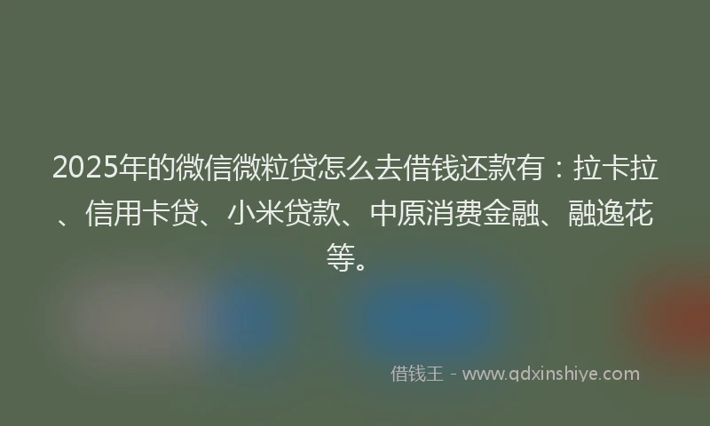 2025年的微信微粒贷怎么去借钱还款有：拉卡拉、信用卡贷、小米贷款、中原消费金融、融逸花等。