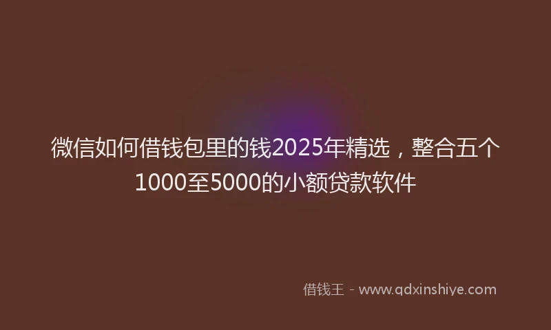微信如何借钱包里的钱2025年精选,整合五个1000至5000的小额贷款软件